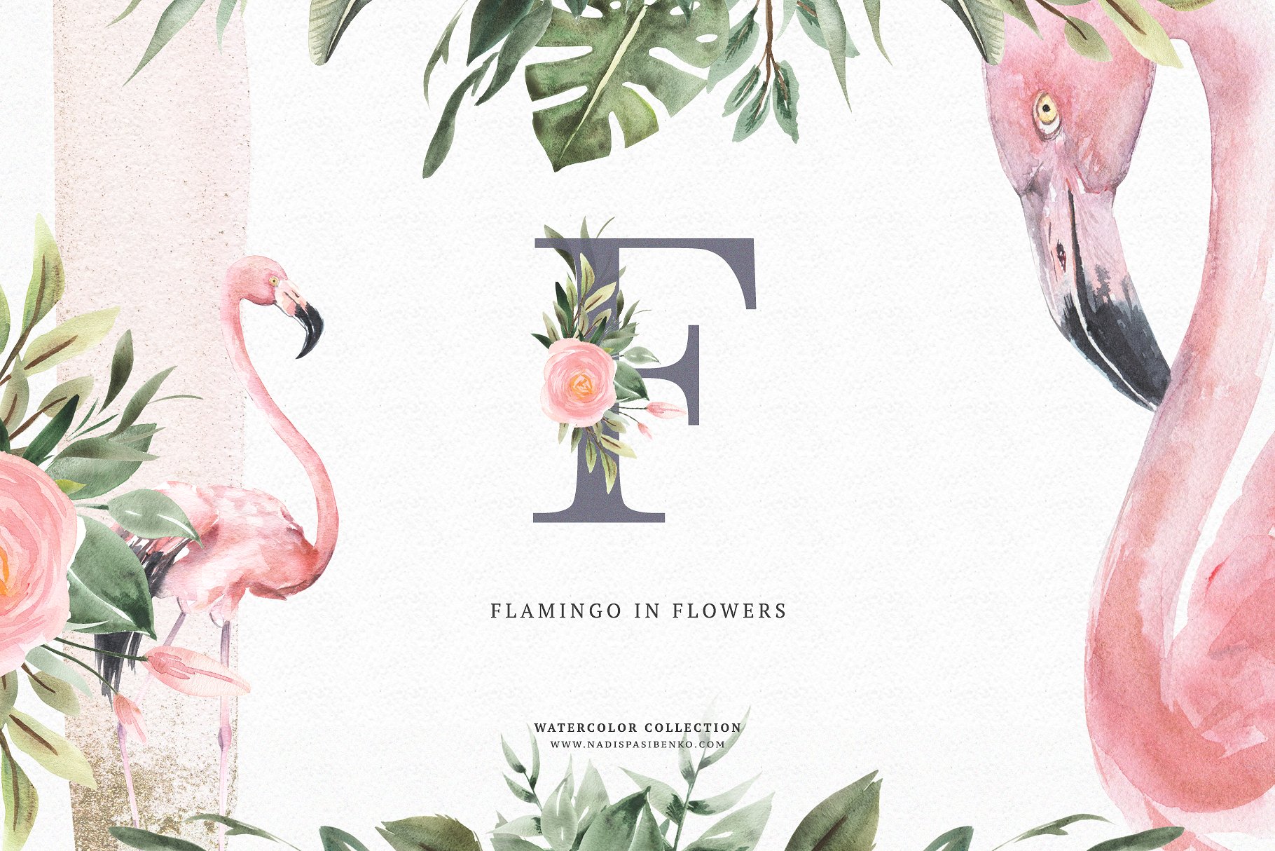 火烈鸟与鲜花矢量水彩插画 Watercolor Flamingo & Flowers插图