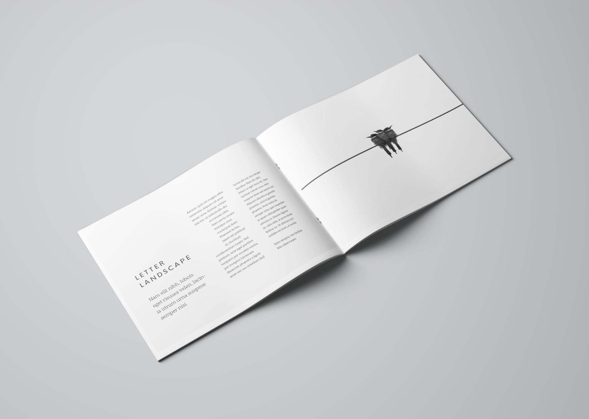信纸尺寸规格横向小画册样机模板 Letter Landscape Brochure Mockup插图(3)