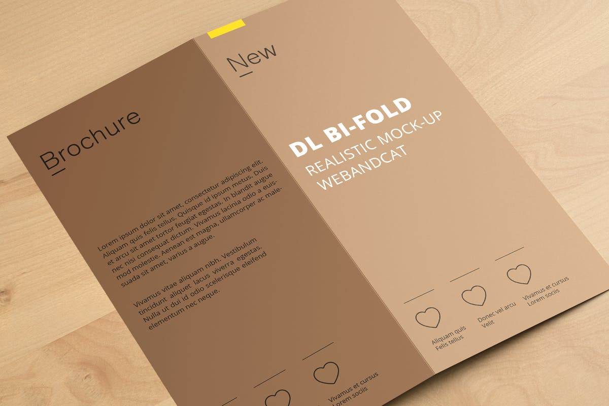 对折页小册子传单样机 DL Bi-Fold Brochure Mock-Up插图