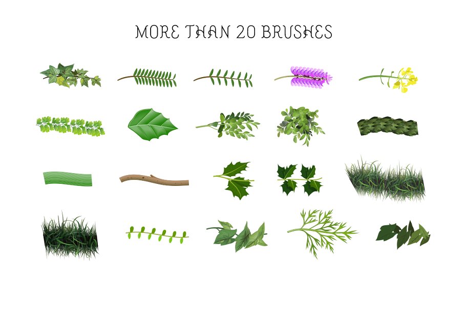 植物图案AI笔刷与符号 Botanical Brushes & Symbols插图(2)