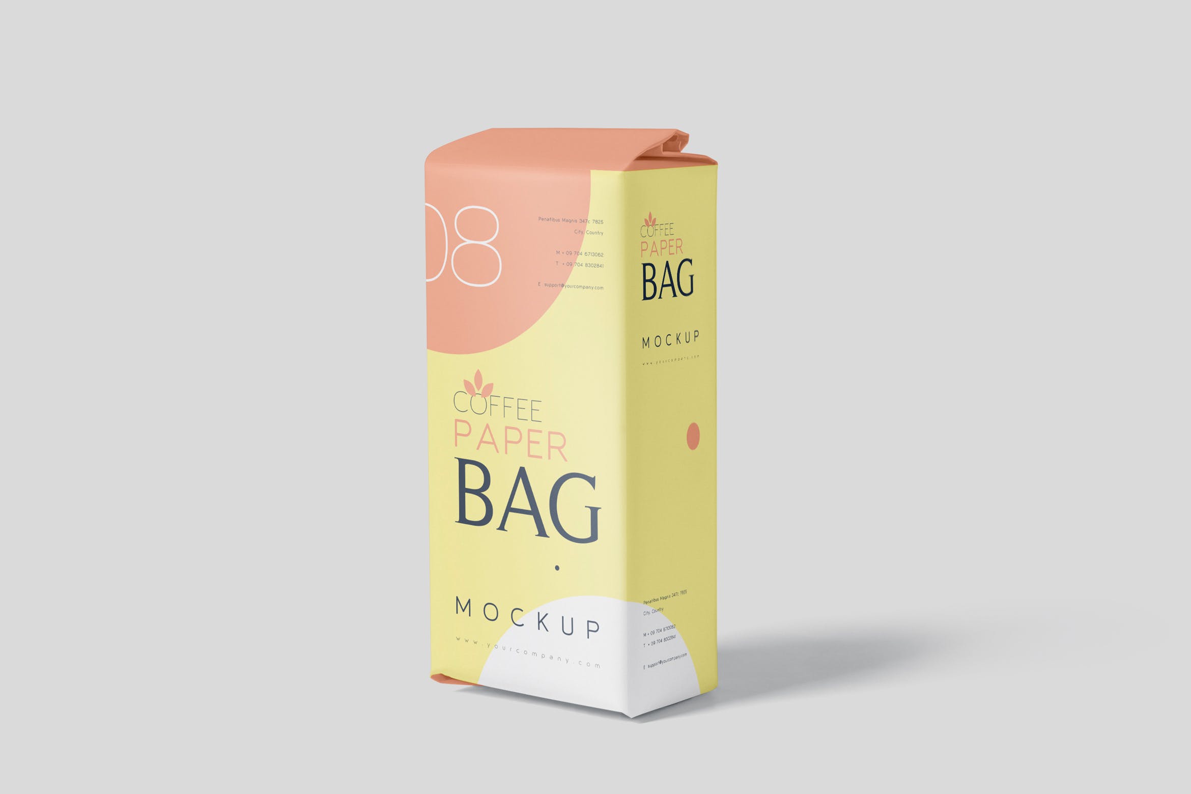 咖啡粉/咖啡豆纸袋包装第一素材精选模板 Coffee Paper Bag Mockup Set插图