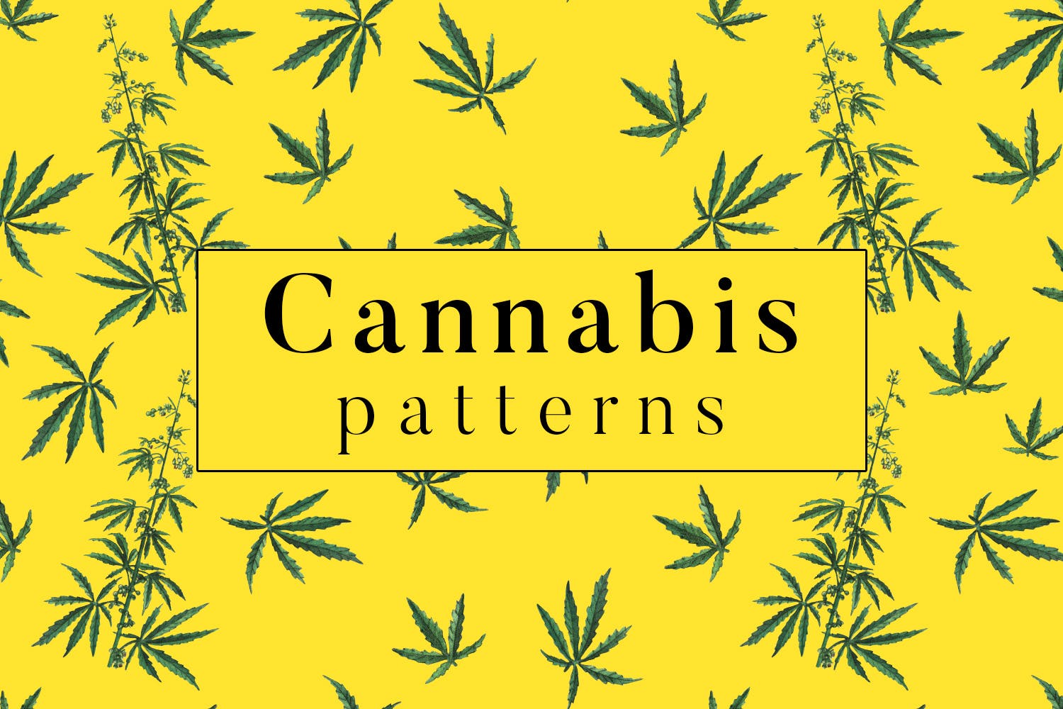 大麻叶子高清图案背景第一素材精选 Cannabis Patterns插图