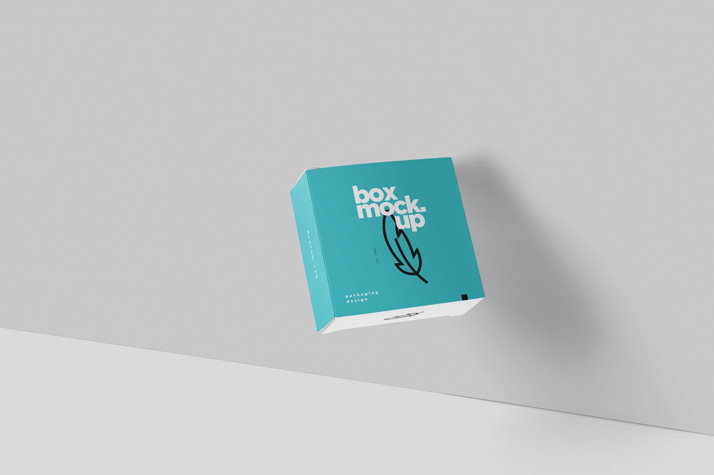 扁平方形包装盒外观设计效果图大洋岛精选 Box Mockup – Square Slim Size插图4