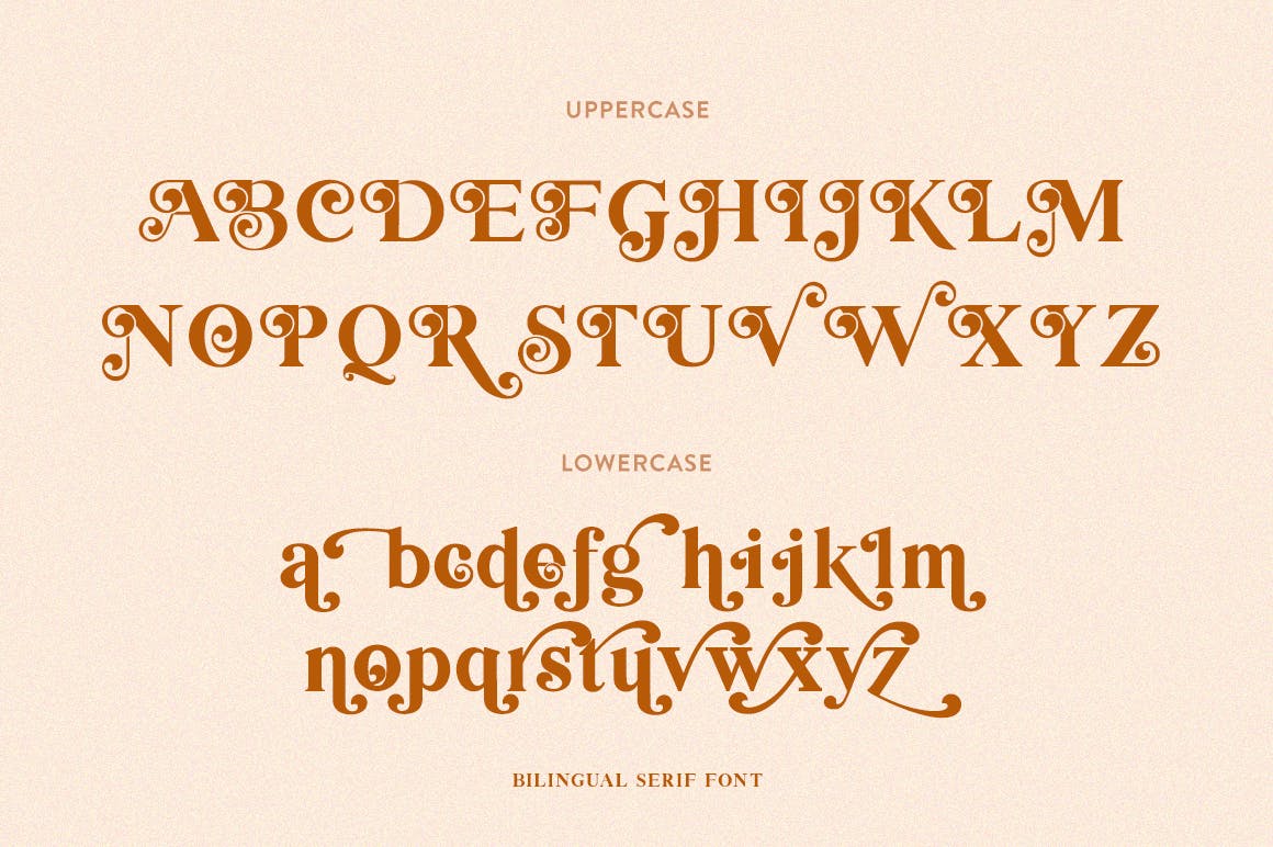 创意英文衬线字体第一素材精选二重奏 Bilingual Serif Font Duo插图(9)