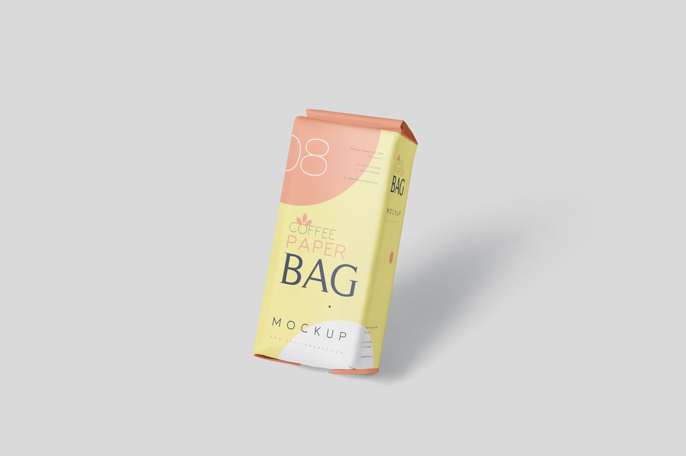 咖啡粉/咖啡豆纸袋包装第一素材精选模板 Coffee Paper Bag Mockup Set插图(5)