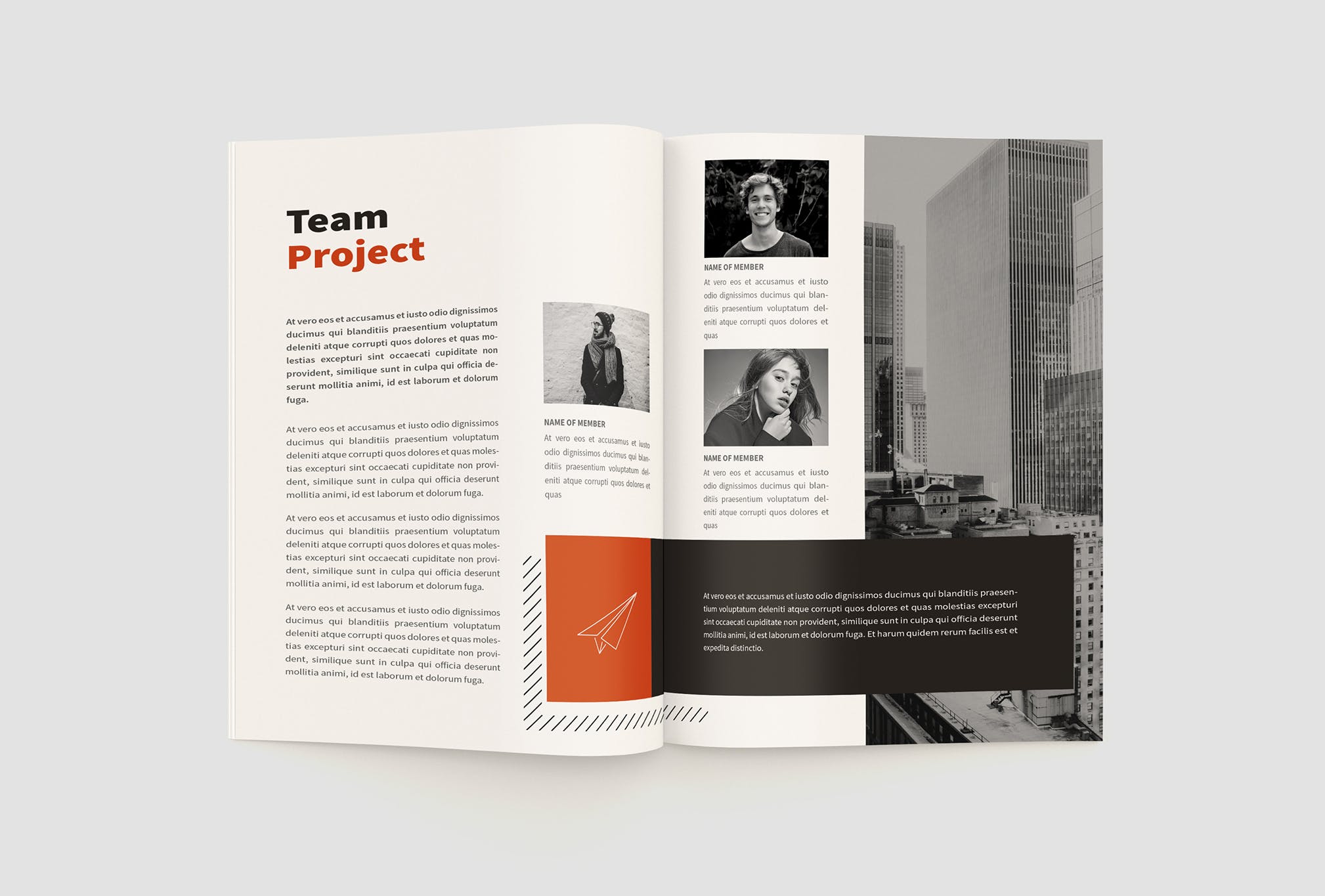 项目商业计划书/项目提案设计模板 The Project Company Profile插图10