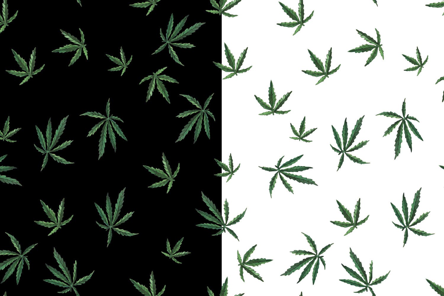大麻叶子高清图案背景蚂蚁素材精选 Cannabis Patterns插图(1)