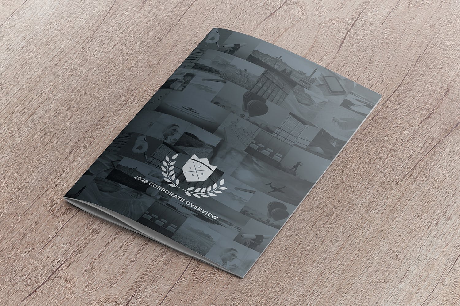 A4尺寸企业/品牌宣传册封面效果图样机第一素材精选模板 A4 Brochure Cover Mockup Perspective View插图(2)