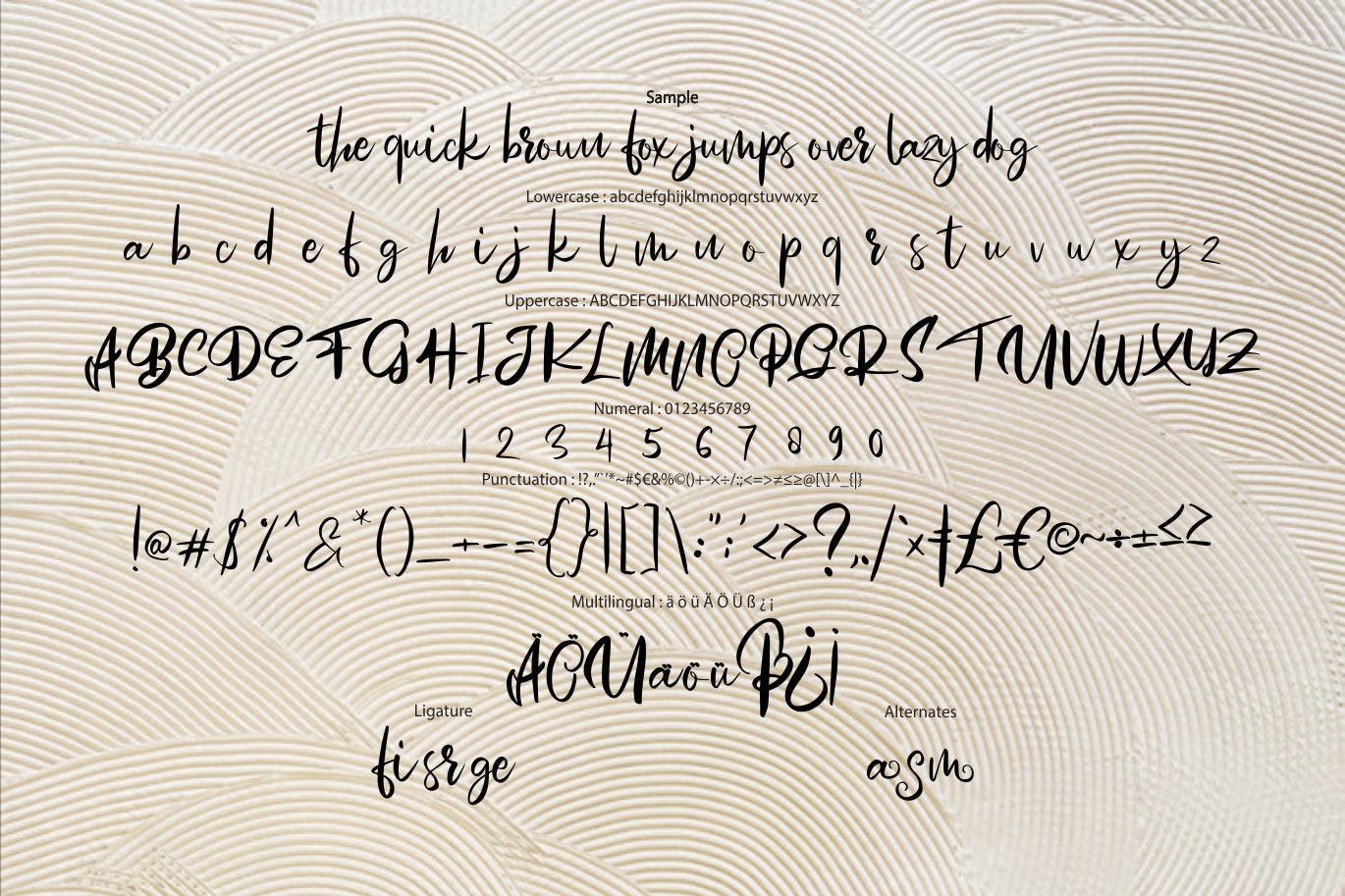 漩涡风格英文书法字体蚂蚁素材精选 Mosem | Swirl Script Font插图(5)