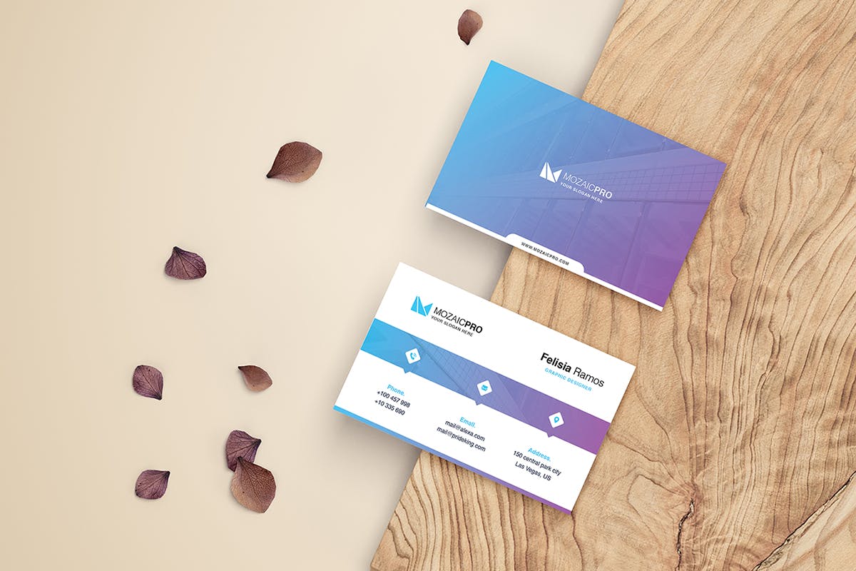 蓝色科技企业大洋岛精选名片模板 Business Card插图