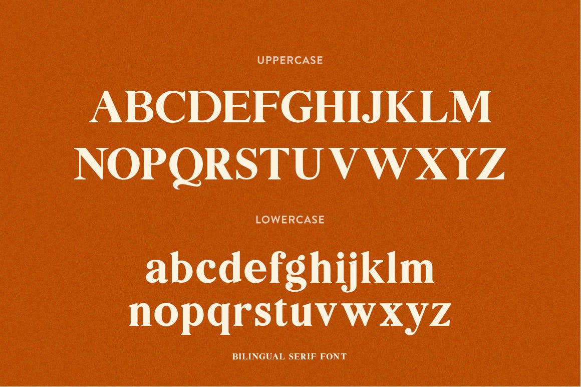 创意英文衬线字体第一素材精选二重奏 Bilingual Serif Font Duo插图(8)