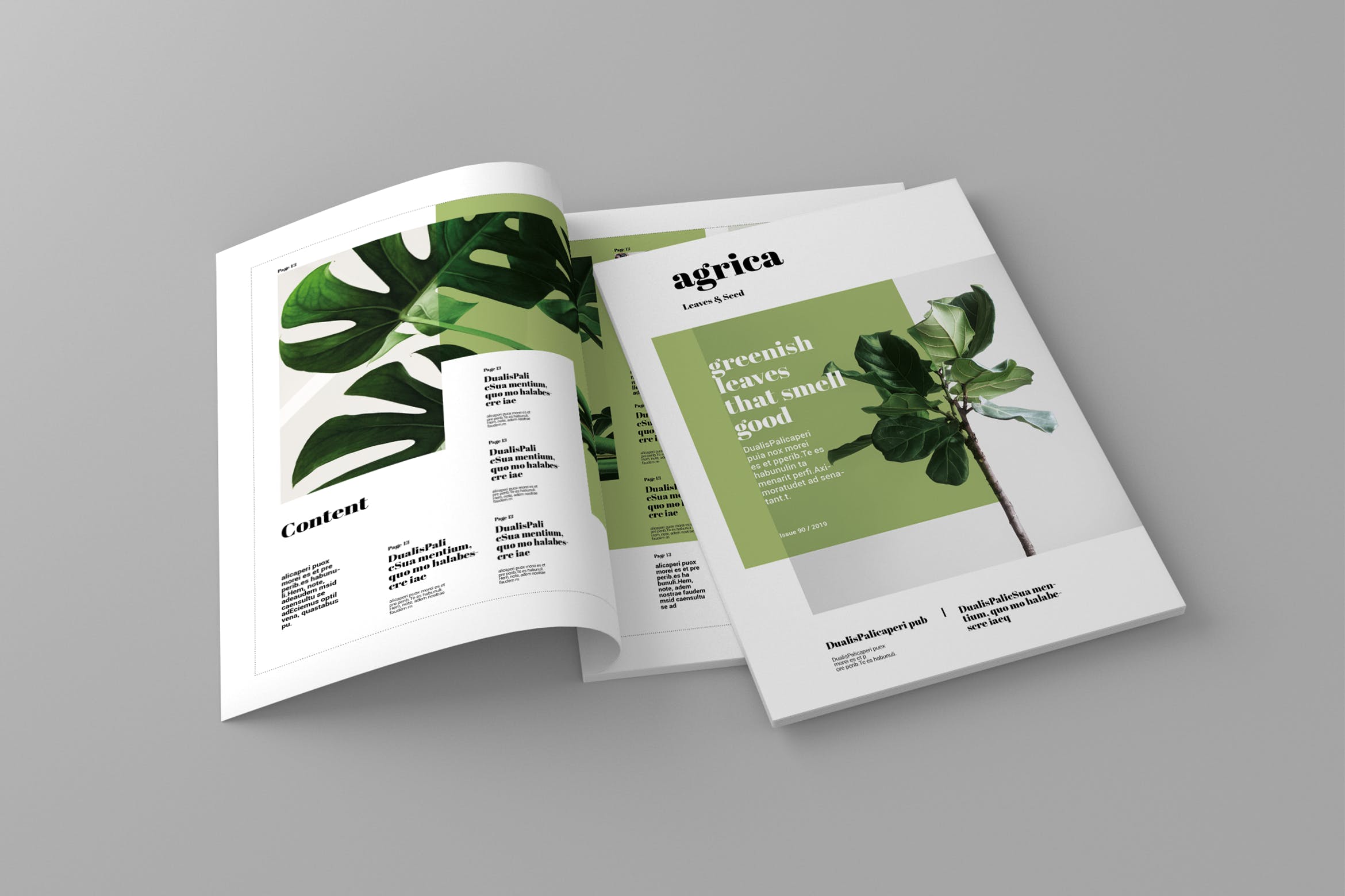 企业业务介绍第一素材精选杂志排版设计模板 Agrica – Magazine Template插图