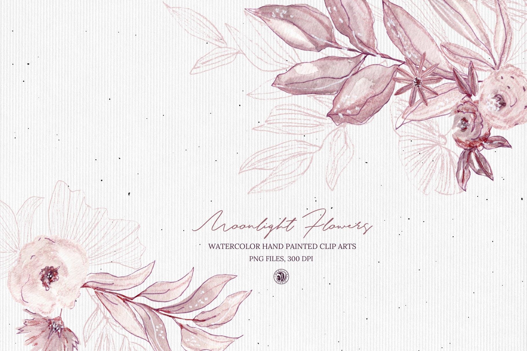 月光花花语水彩手绘剪贴画蚂蚁素材精选PNG素材 Moonlight Flowers插图(1)