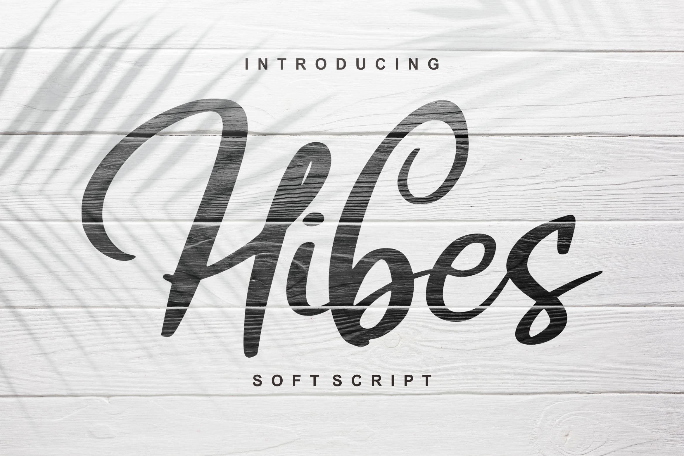 软笔刷书法风格英文手写字体蚂蚁素材精选 Hibes | Soft Script Font插图
