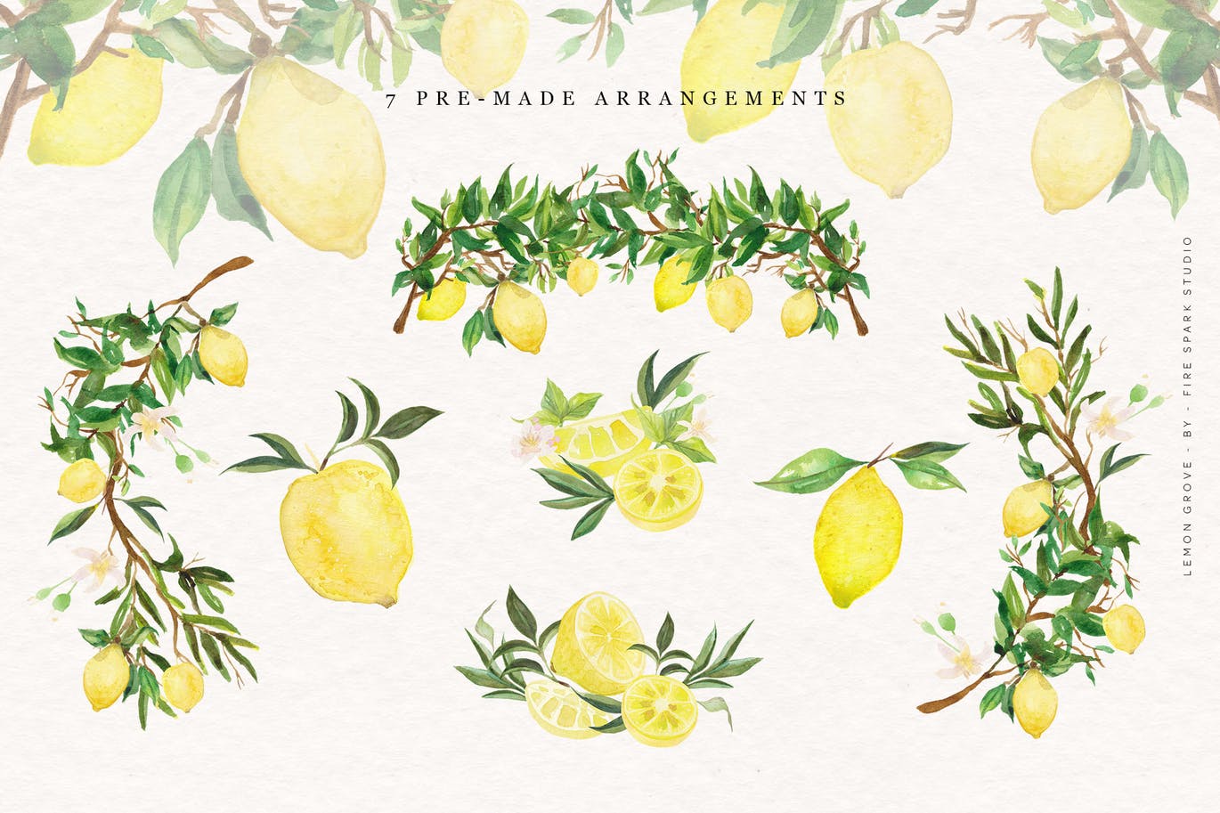 柠檬树水彩手绘矢量插画大洋岛精选素材 Lemon Grove Watercolor Illustrations插图5