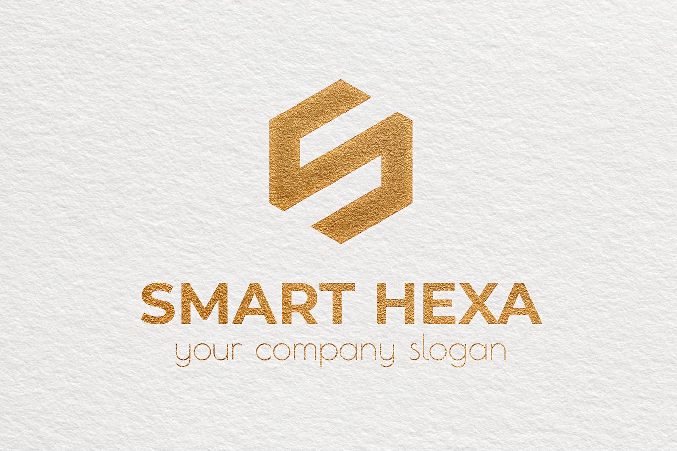 S字母图形Logo设计第一素材精选模板 Smart Hexa Awesome Logo Template插图(3)