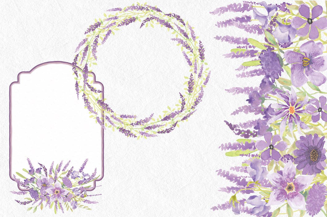 薰衣草绽放水彩剪贴画蚂蚁素材精选PNG素材 Lavender Blooms: Watercolor Clip Art Bundle插图(5)