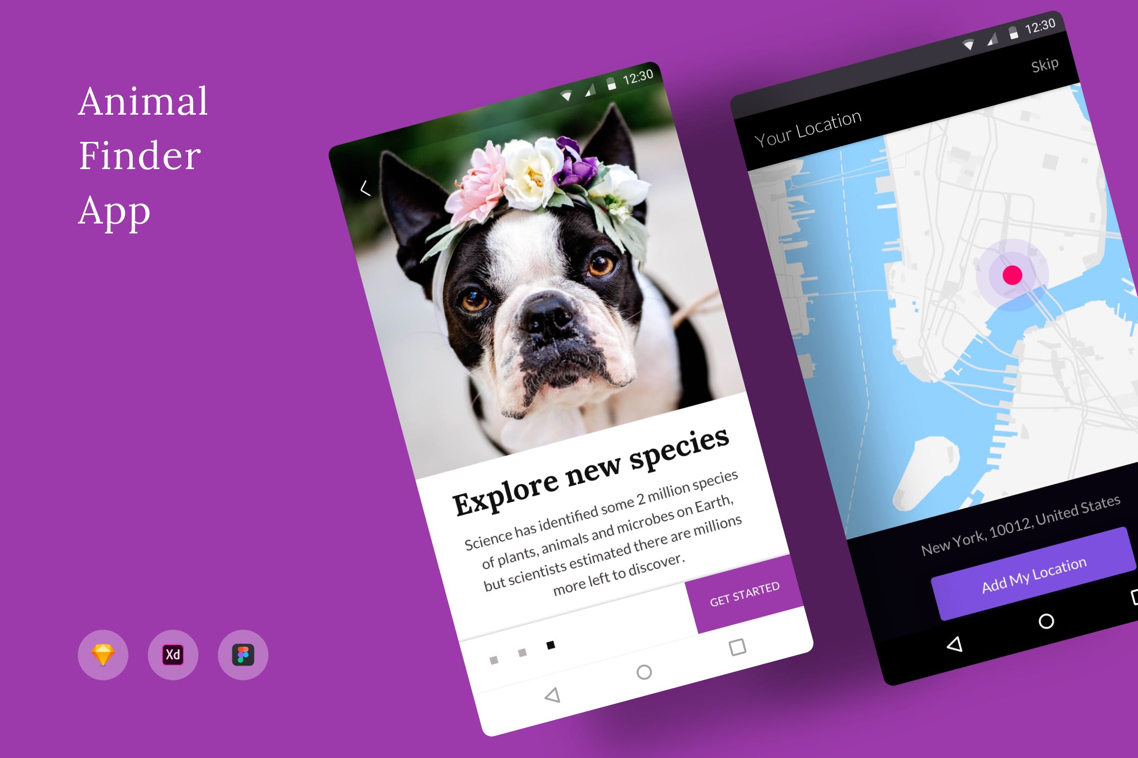 动物防丢失位置搜索APP应用UI界面设计第一素材精选模板 Animal Finder App插图