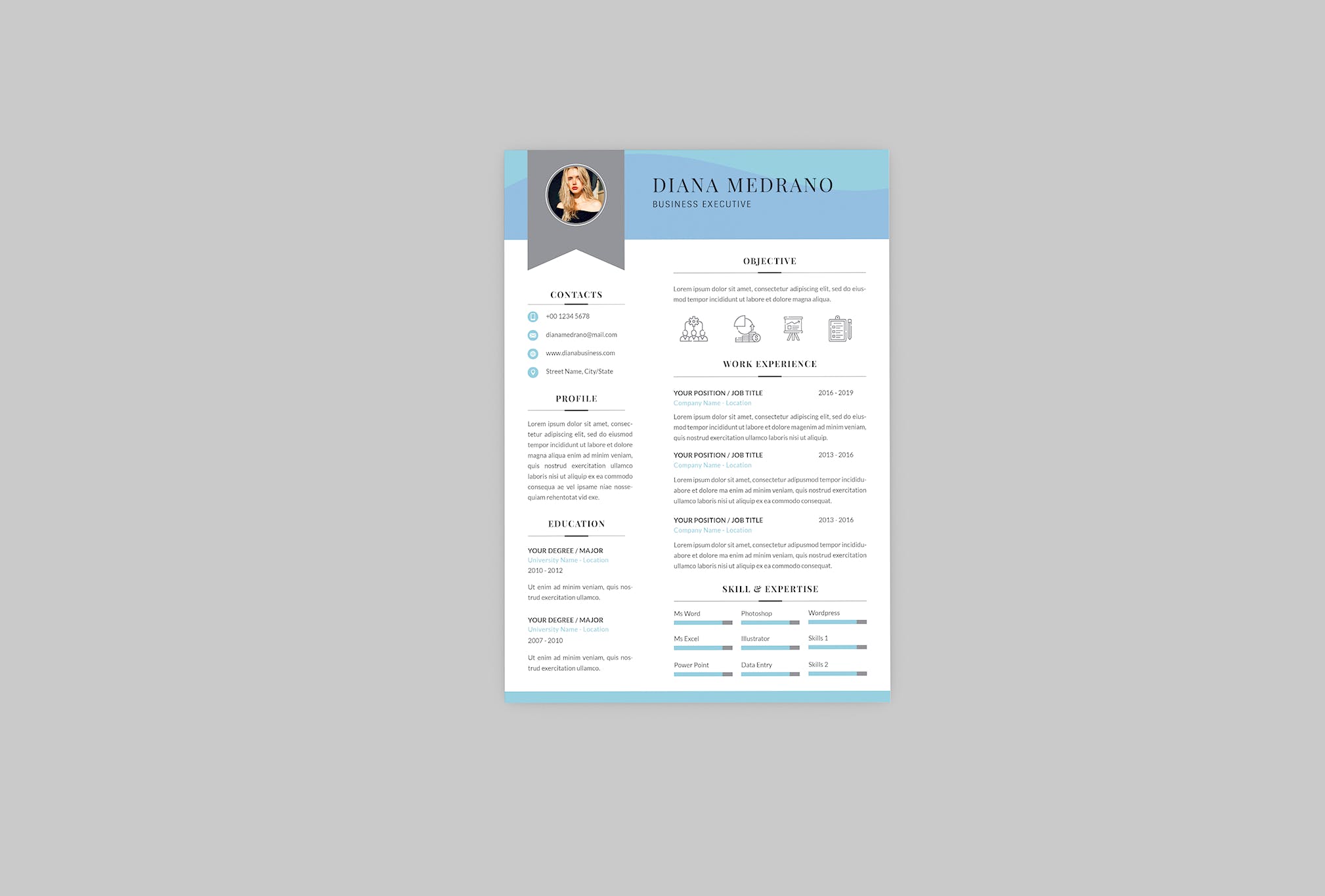 3合1企业主管电子蚂蚁素材精选简历模板 Diana Business Resume Designer插图(2)