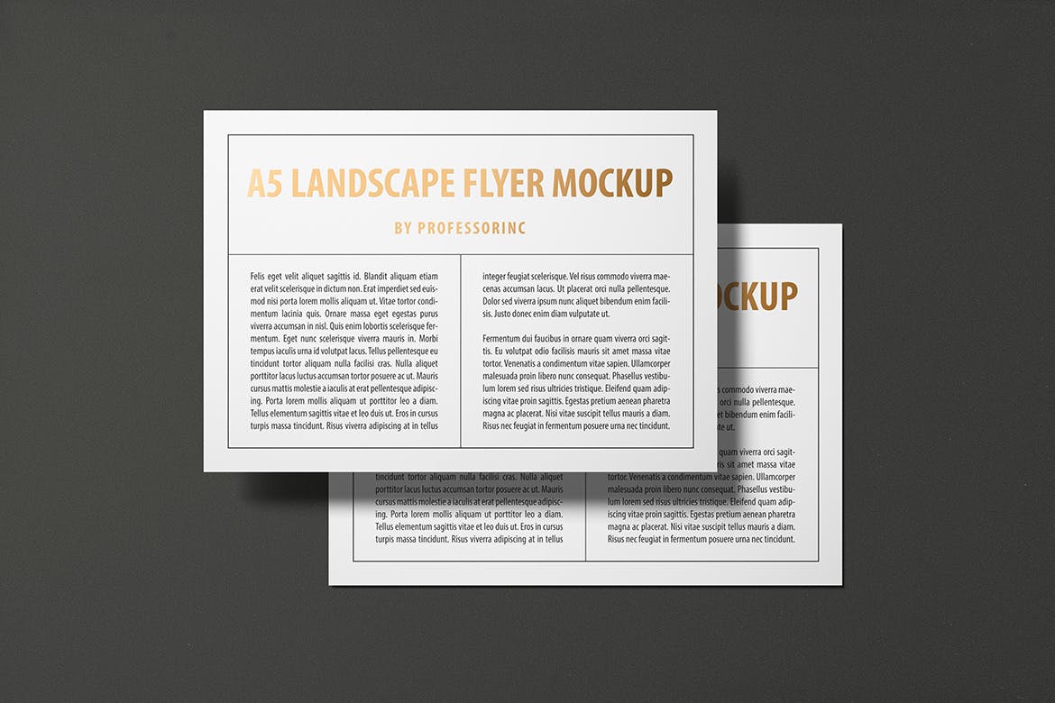 A5尺寸大小烫金设计风格宣传单效果图样机大洋岛精选模板 A5 Landscape Flyer Mockup — Foil Stamping Edition插图4