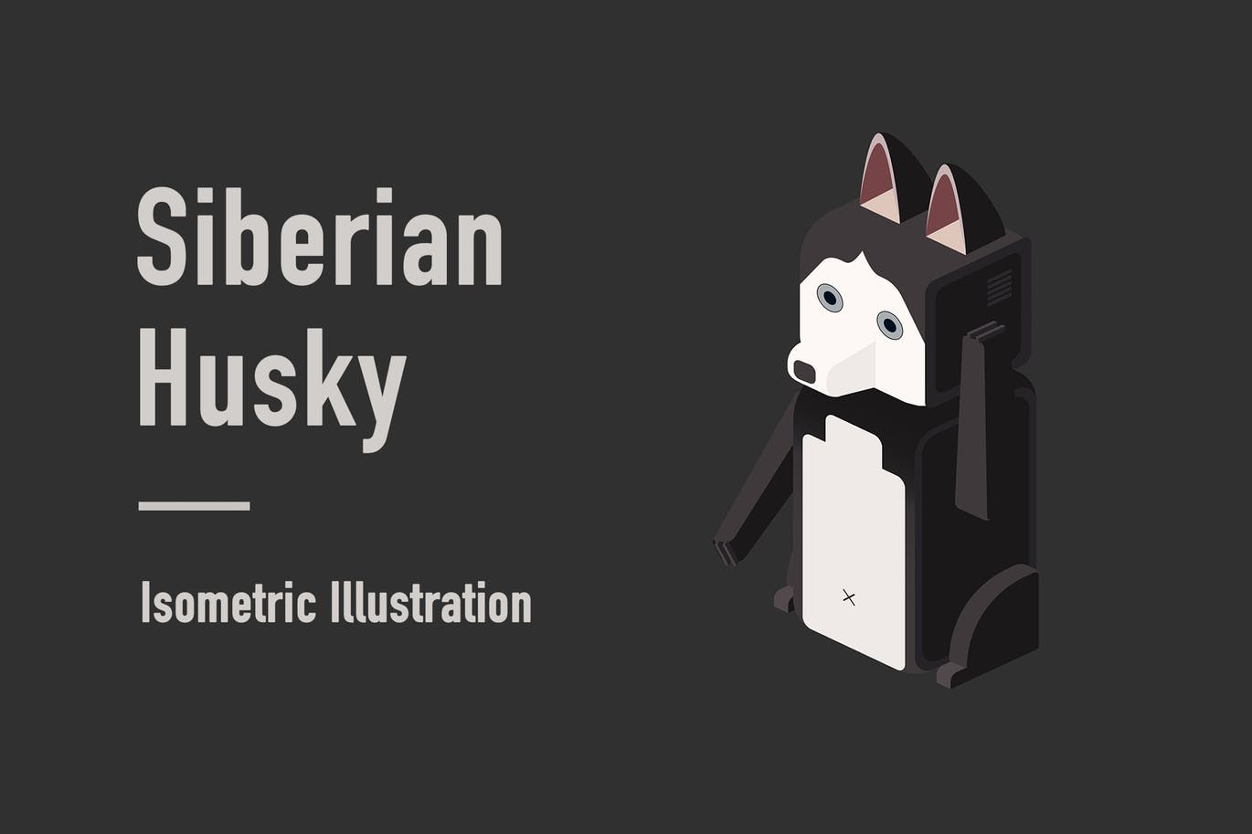 西伯利亚雪橇犬等距矢量图形 Siberian Husky Isometric Illustration插图