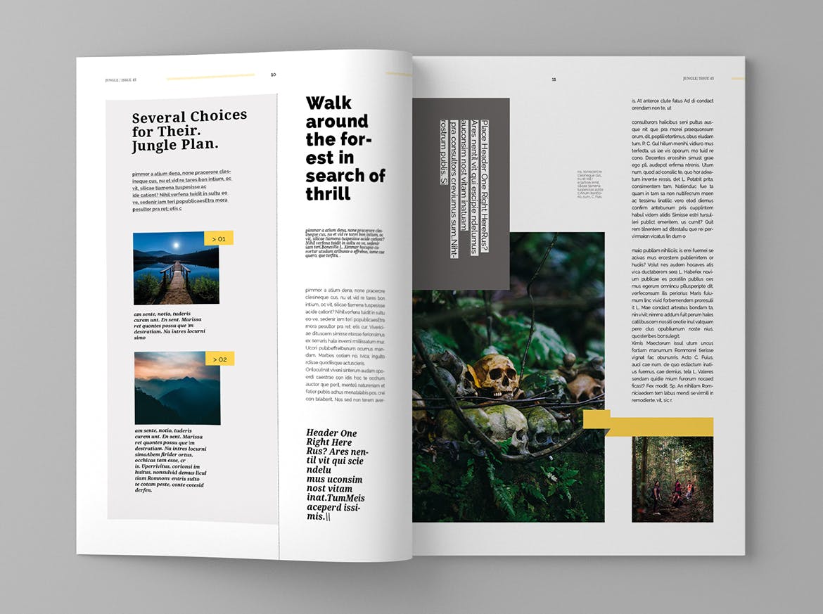 旅游行业蚂蚁素材精选杂志版式设计模板 Jungle – Magazine Template插图(6)