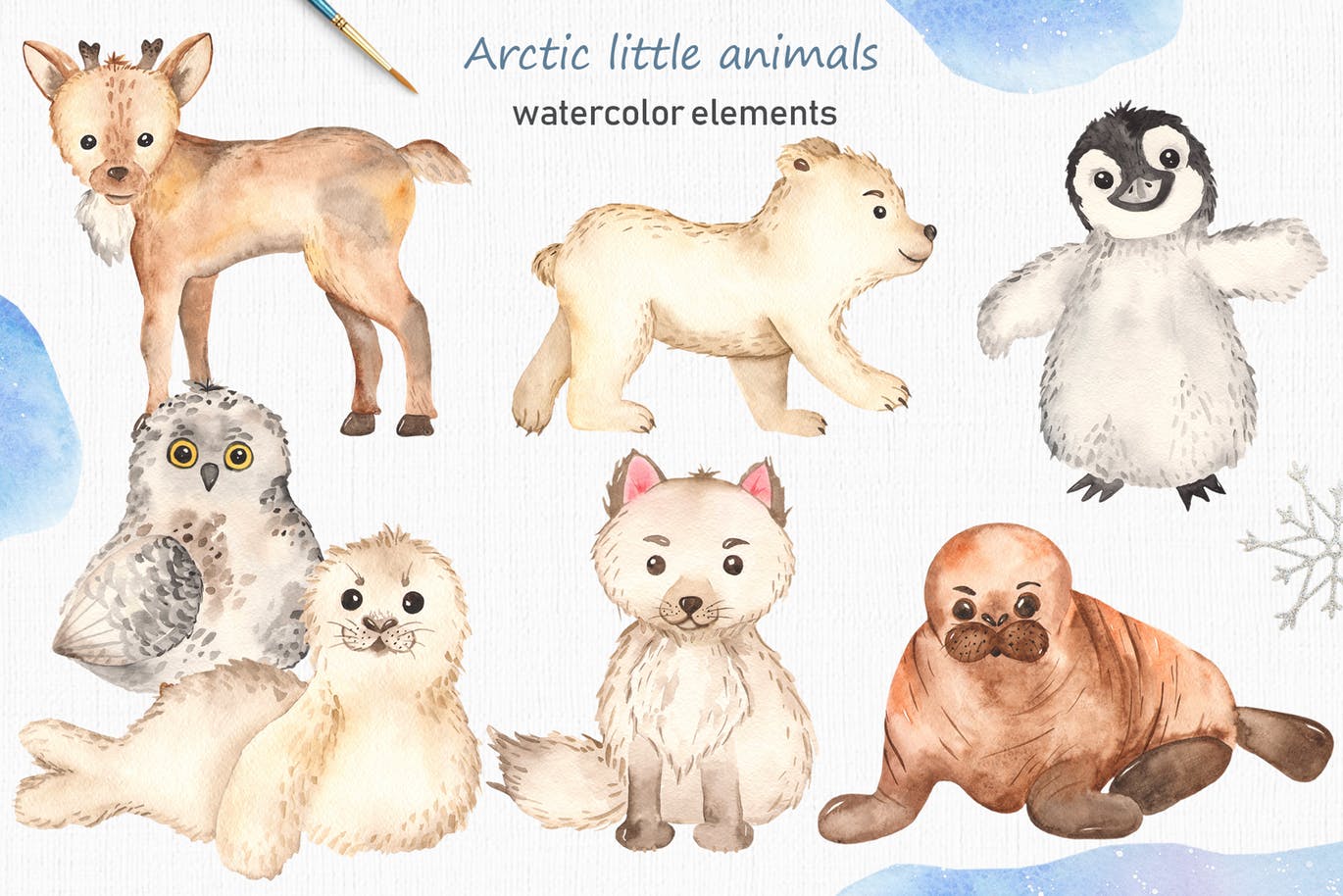 北极小动物水彩手绘剪贴画＆卡片素材 Watercolor Arctic little animals Clipart cards插图1