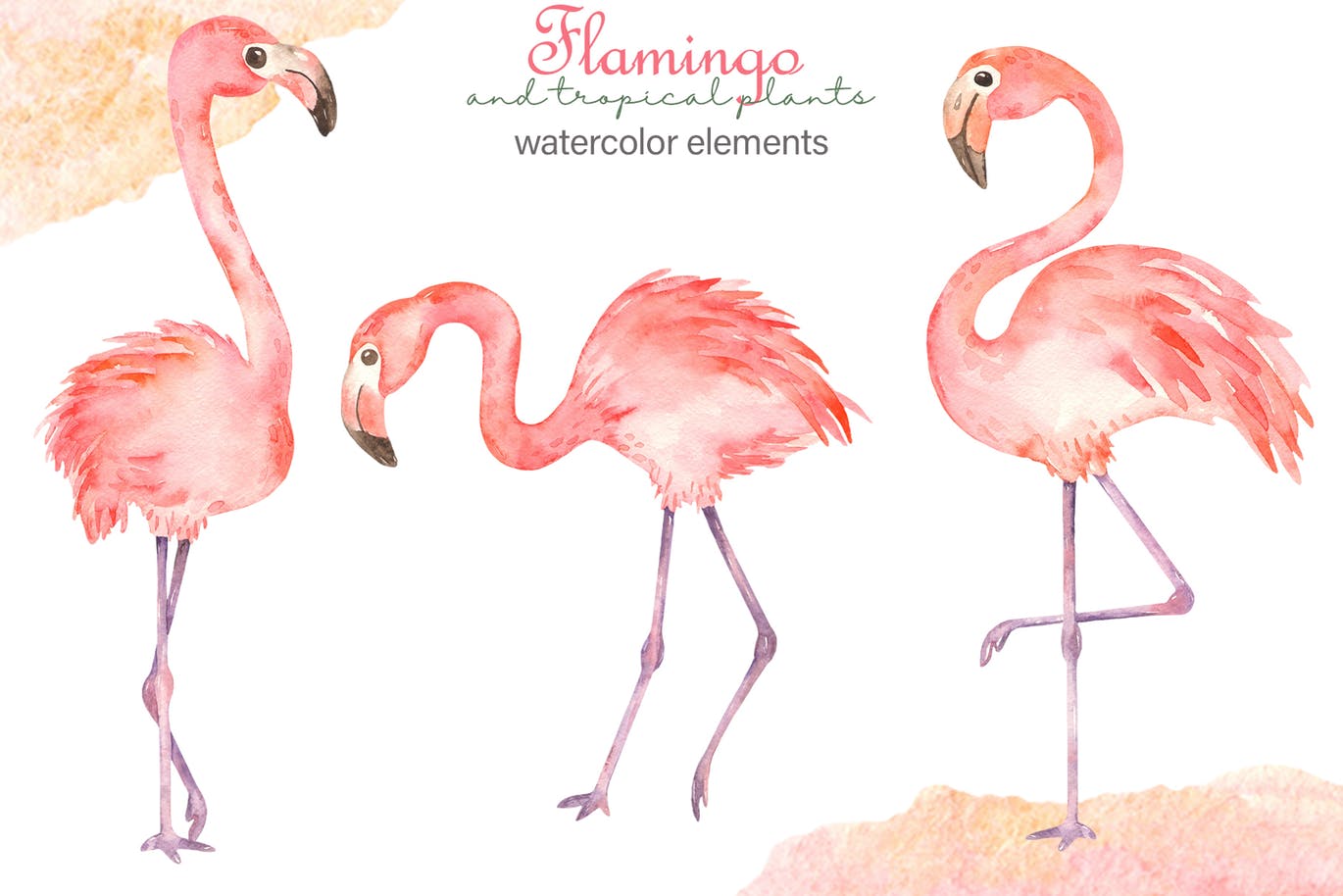 火烈鸟＆热带植物水彩插画素材 Watercolor flamingos and tropical plants插图1