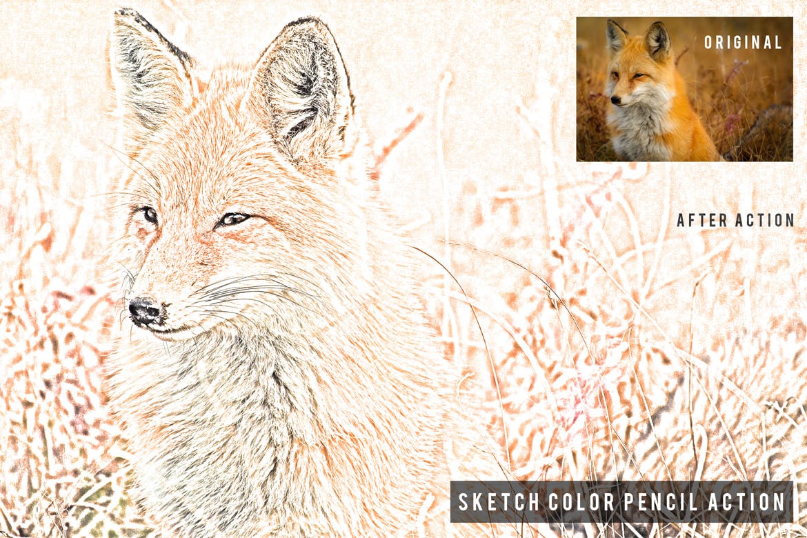 彩铅素描照片特效一键生成蚂蚁素材精选PS动作 Sketch Color Pencil Action插图(1)