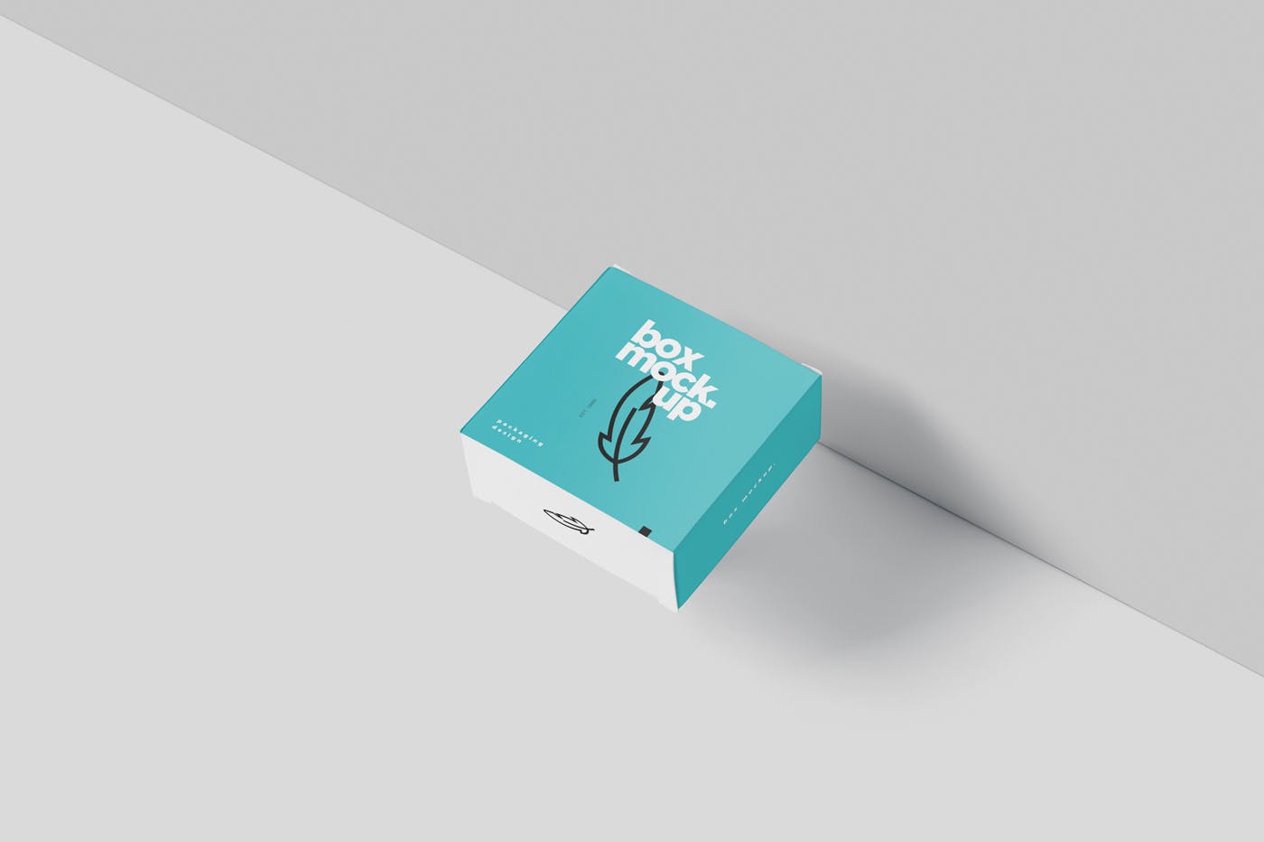 扁平方形包装盒外观设计效果图大洋岛精选 Box Mockup – Square Slim Size插图2