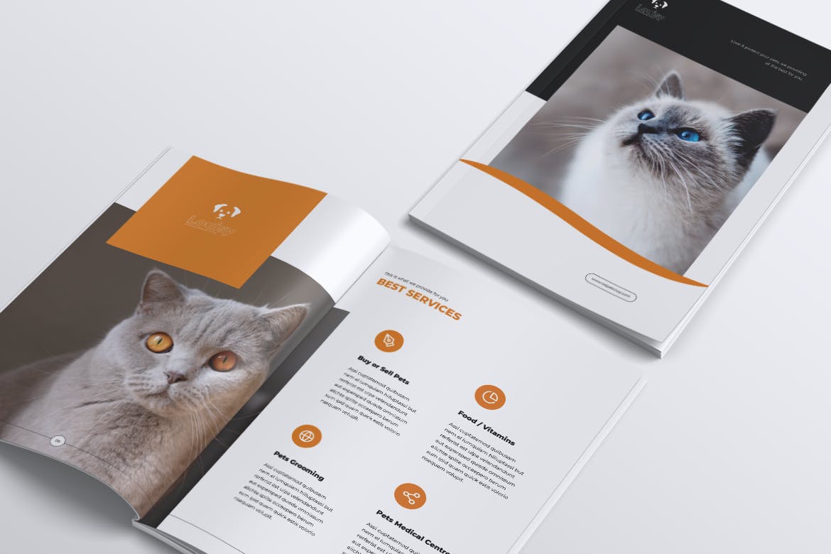 宠物店业务宣传手册设计模板 LOSI Pet Shop Business Brochure插图(3)