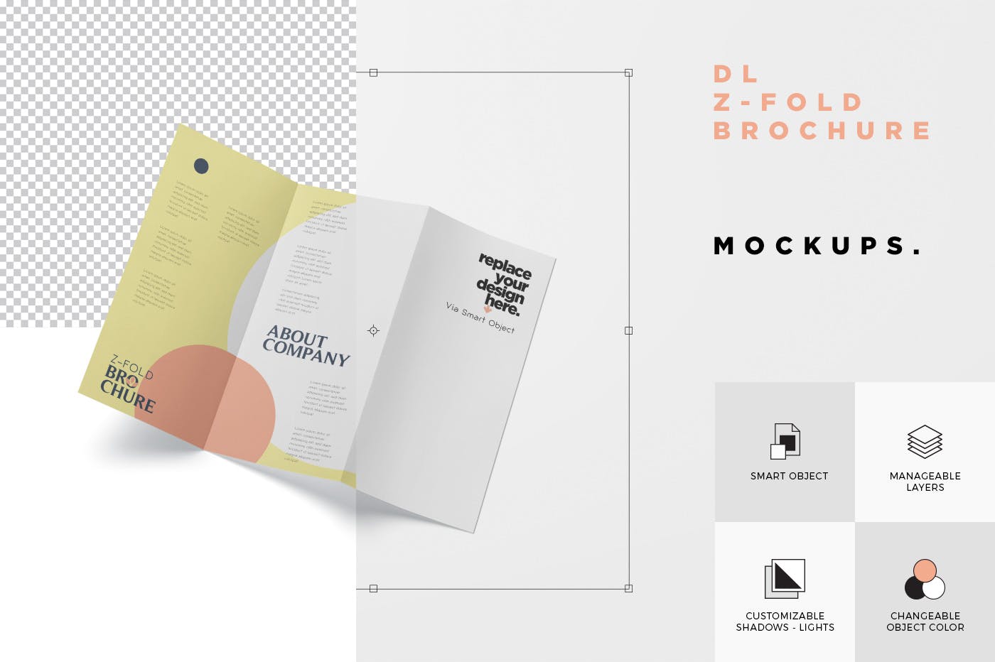 三折页设计风格企业传单/宣传单设计图样机大洋岛精选 DL Z-Fold Brochure Mockup – 99 x 210 mm Size插图7