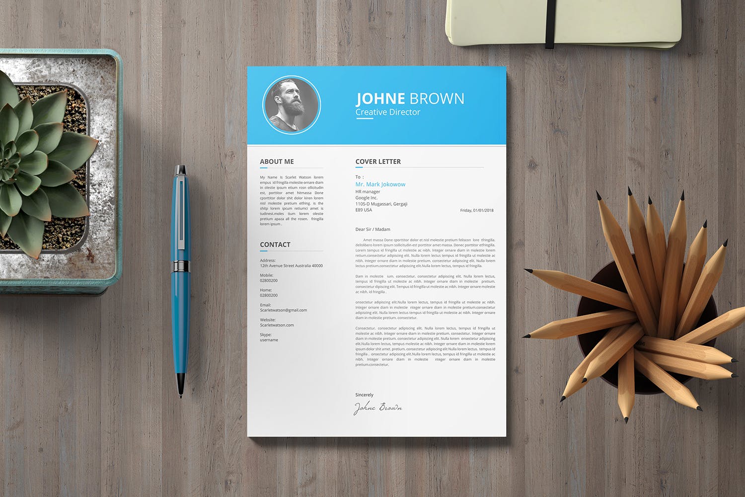 创意总监工作履历表设计模板 CV Resume插图3