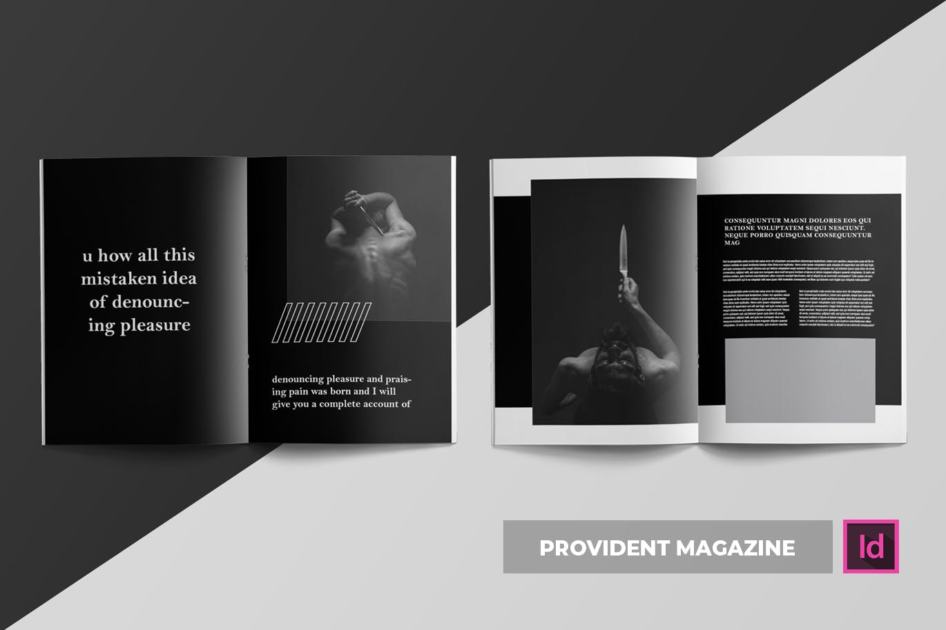 高端摄影主题A4第一素材精选杂志版式设计INDD模板 Provident | Magazine Template插图(1)