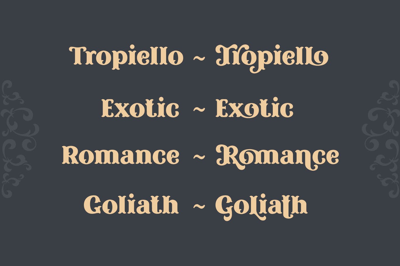 复古风格精美英文衬线装饰字体蚂蚁素材精选下载 Tropiello Font插图(4)