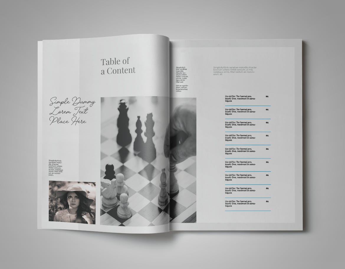 现代版式设计时尚蚂蚁素材精选杂志INDD模板 Simplifly | Indesign Magazine Template插图(3)