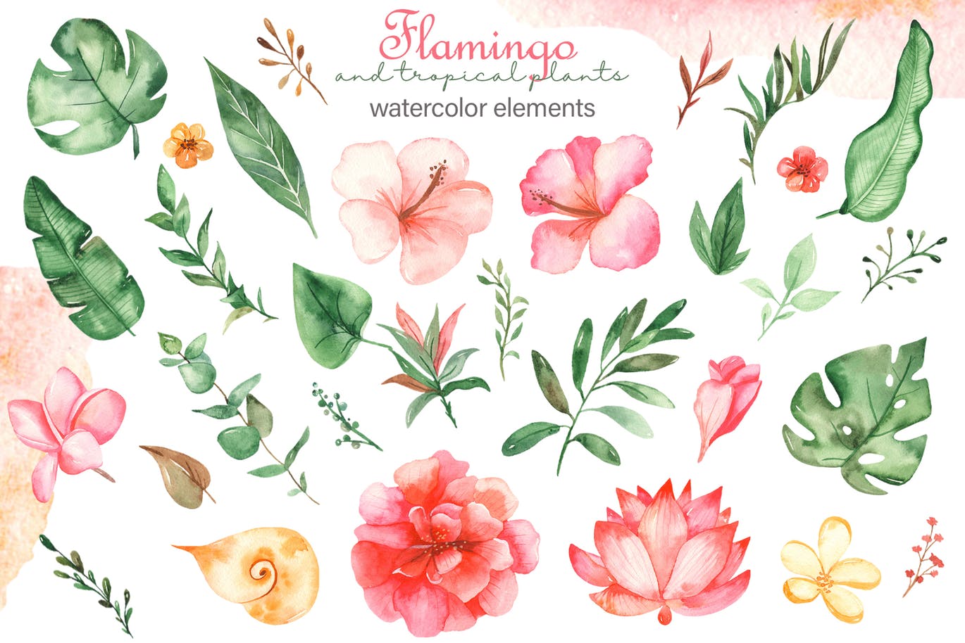 火烈鸟＆热带植物水彩插画素材 Watercolor flamingos and tropical plants插图2