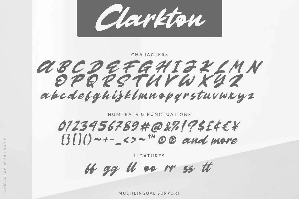 粗体画笔手写英文字体第一素材精选 Clarkton – Bold Script Font插图(6)