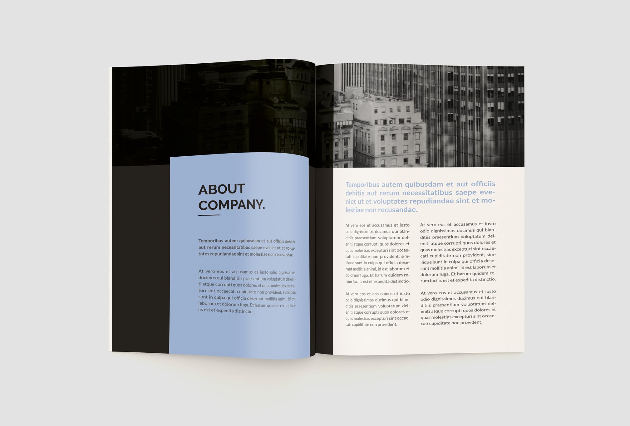 创意设计公司画册设计模板 Design Company Profile插图(4)