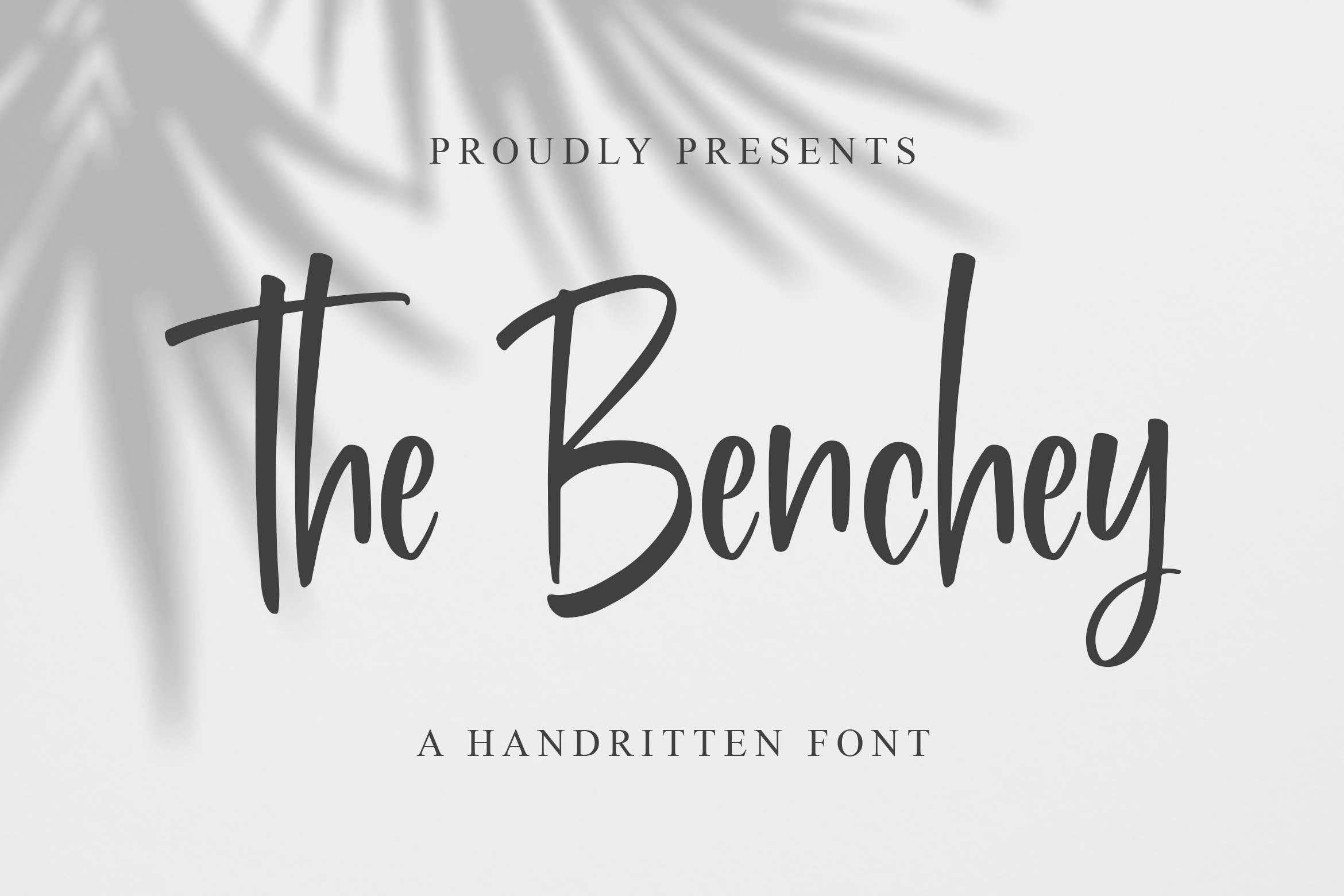 现代书法风格英文手写字体蚂蚁素材精选 Benchey – Handwritten Font插图