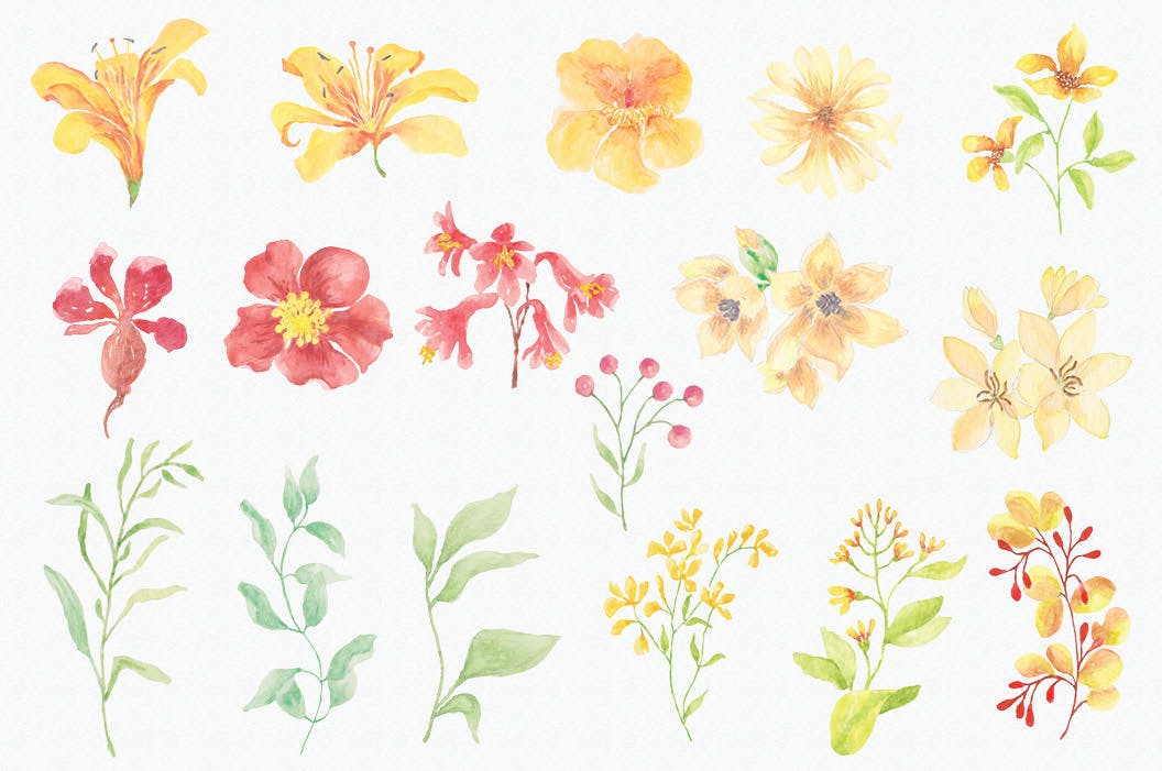阳光明媚风格水彩花卉手绘图案剪贴画蚂蚁素材精选PNG素材 Sunny Flowers: Watercolor Clip Art Mini Bundle插图(5)