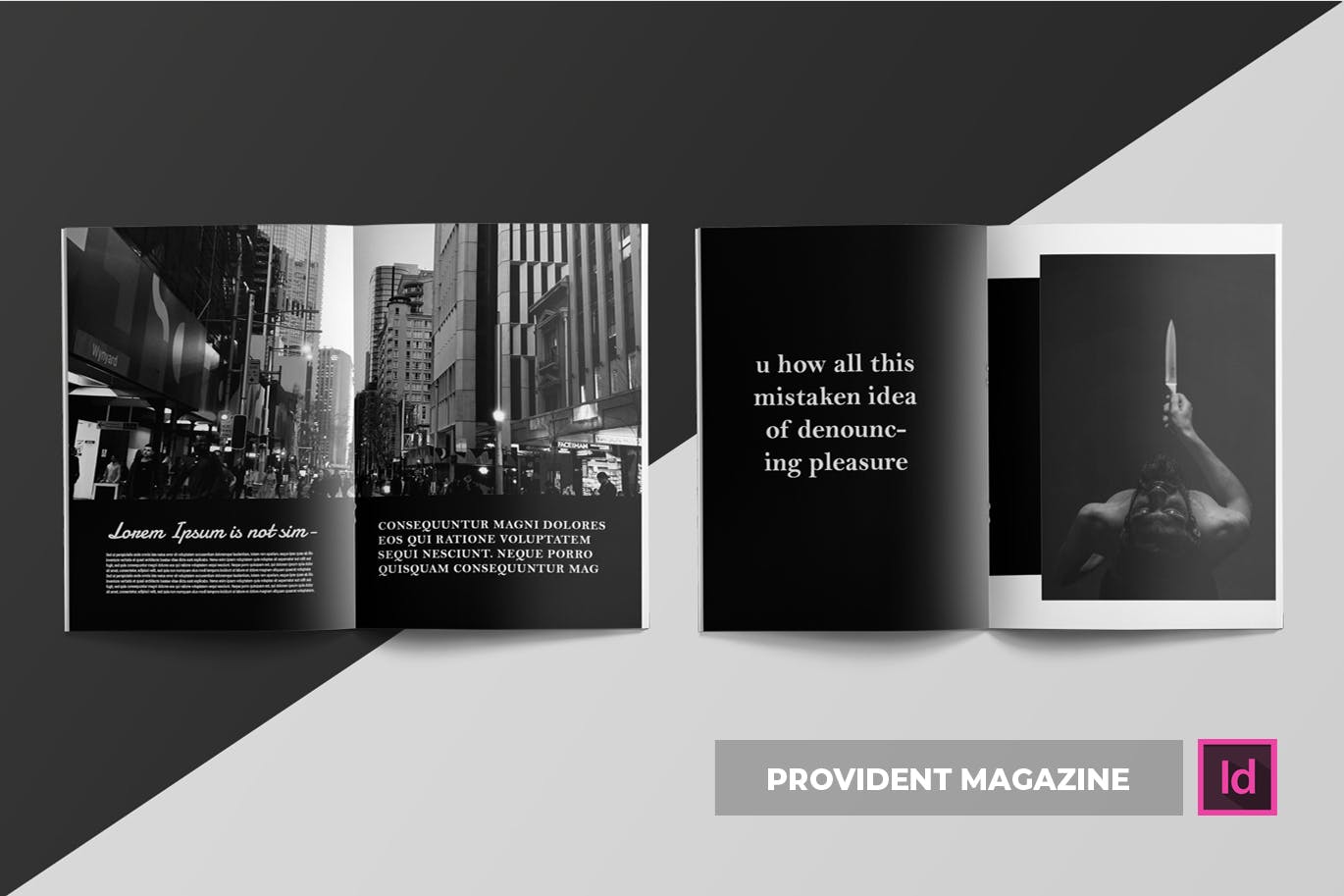 高端摄影主题A4第一素材精选杂志版式设计INDD模板 Provident | Magazine Template插图(3)