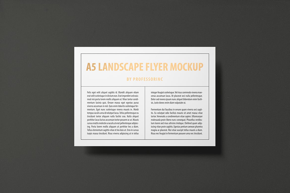 A5尺寸大小烫金设计风格宣传单效果图样机大洋岛精选模板 A5 Landscape Flyer Mockup — Foil Stamping Edition插图2