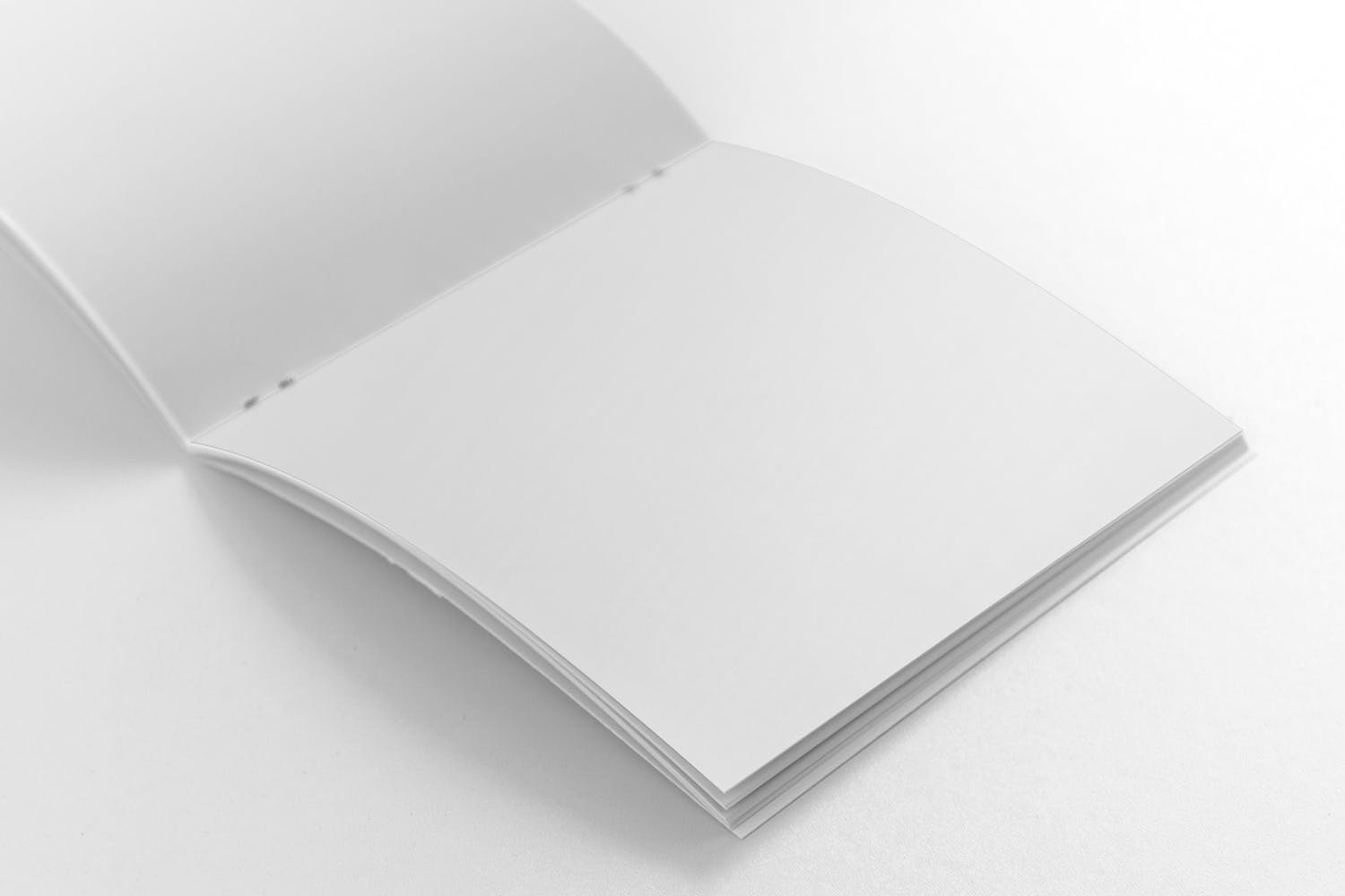 方形画册产品手册右页特写效果图样机蚂蚁素材精选 Square Brochure Mockup Closeup on Right Page插图(1)