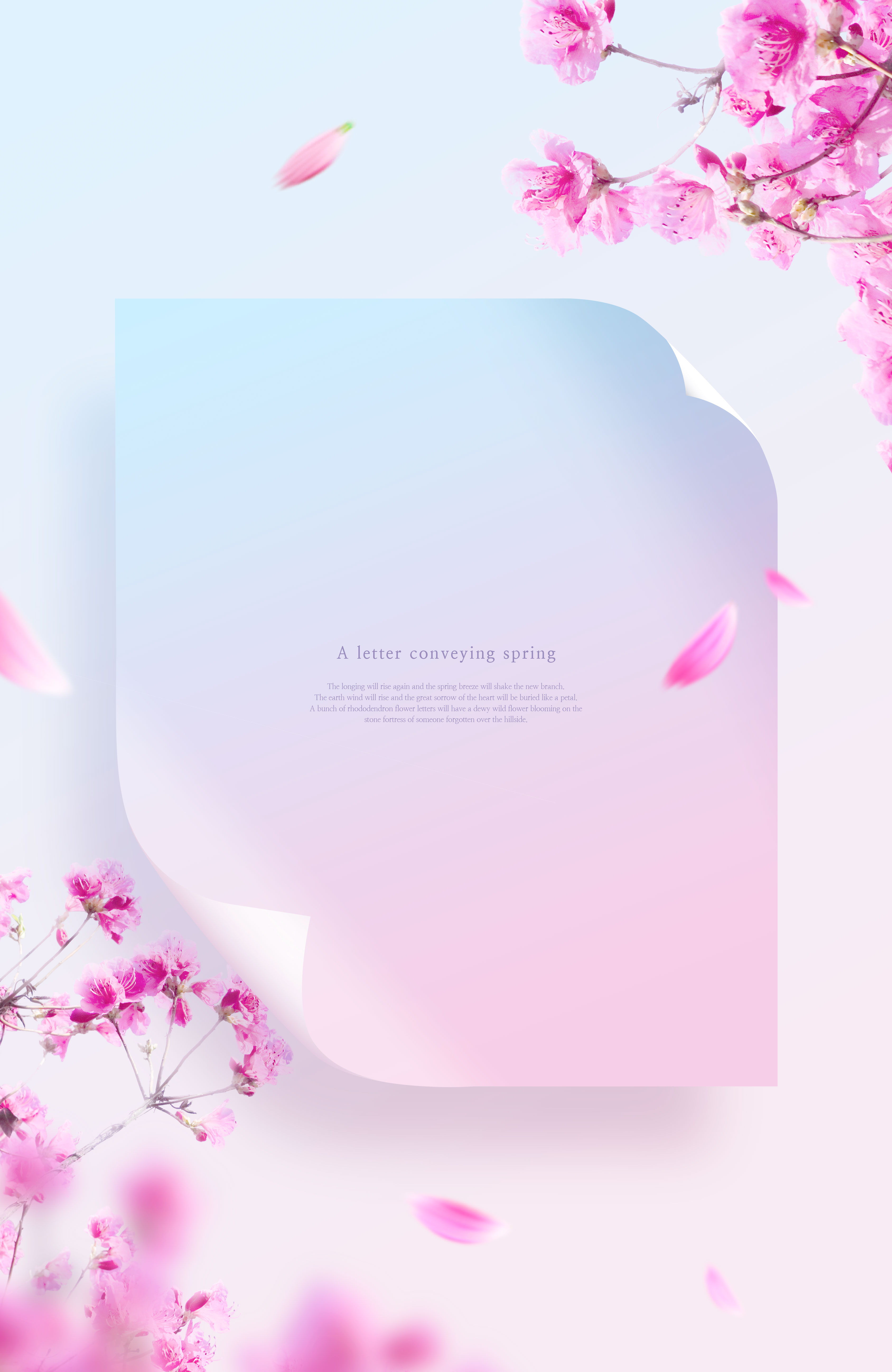 春天粉色花卉主题海报/贺卡/信纸设计psd素材插图