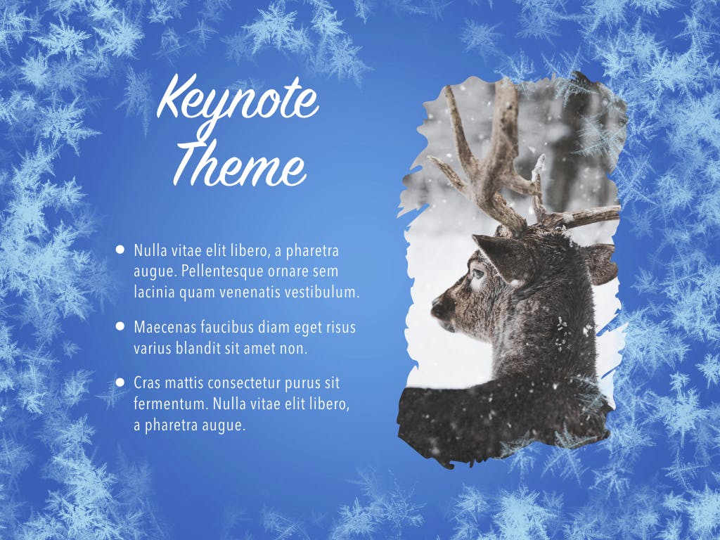 冬天雪花背景第一素材精选Keynote模板下载 Hello Winter Keynote Template插图(8)