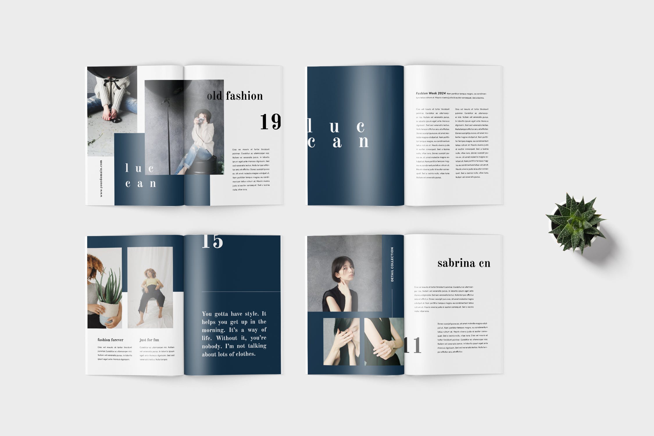 高端女性服装品牌产品蚂蚁素材精选目录设计模板 Luccan Fashion Lookbook Catalogue插图(3)
