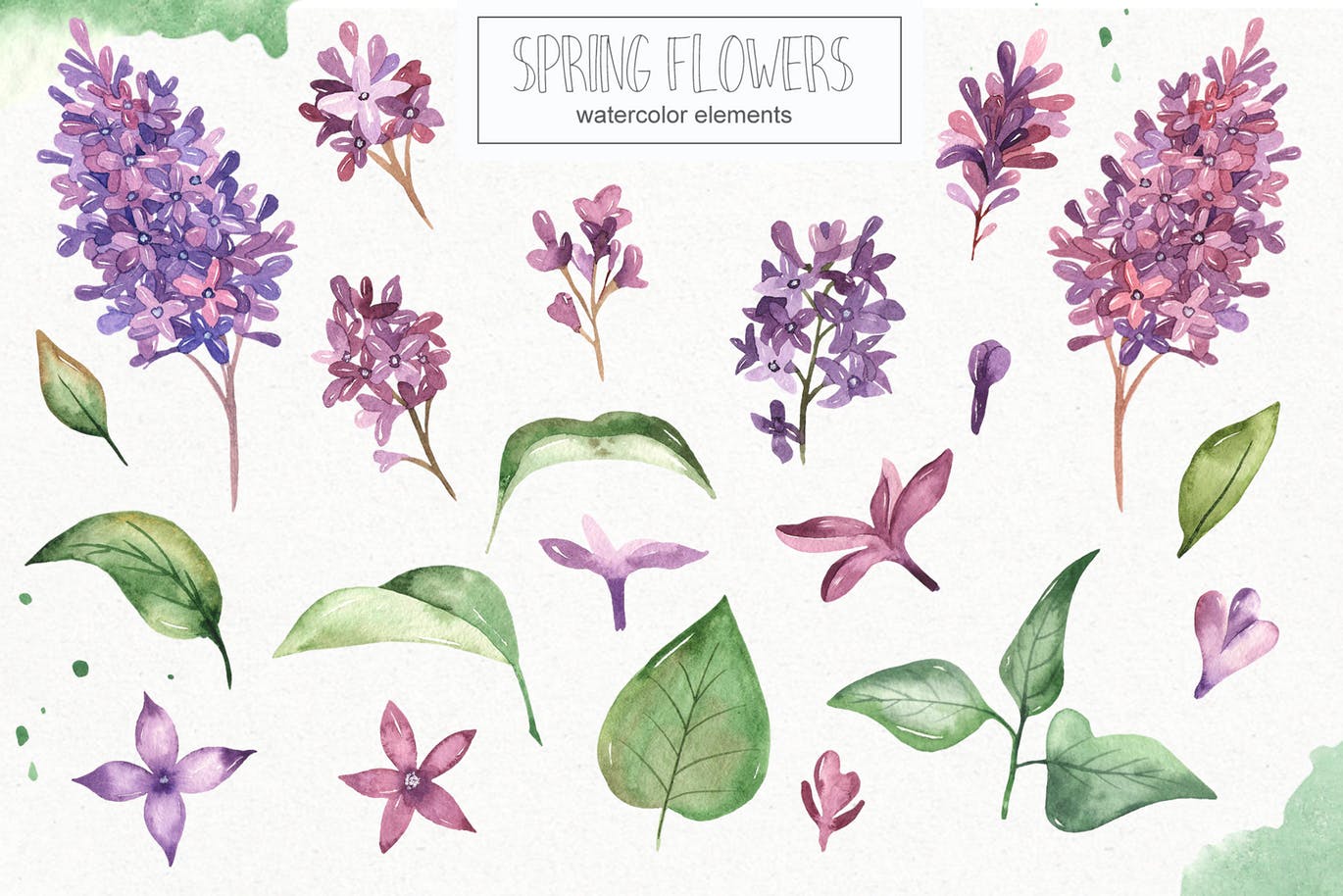 春季花卉水彩素材套装 Watercolor spring flowers collection插图(1)
