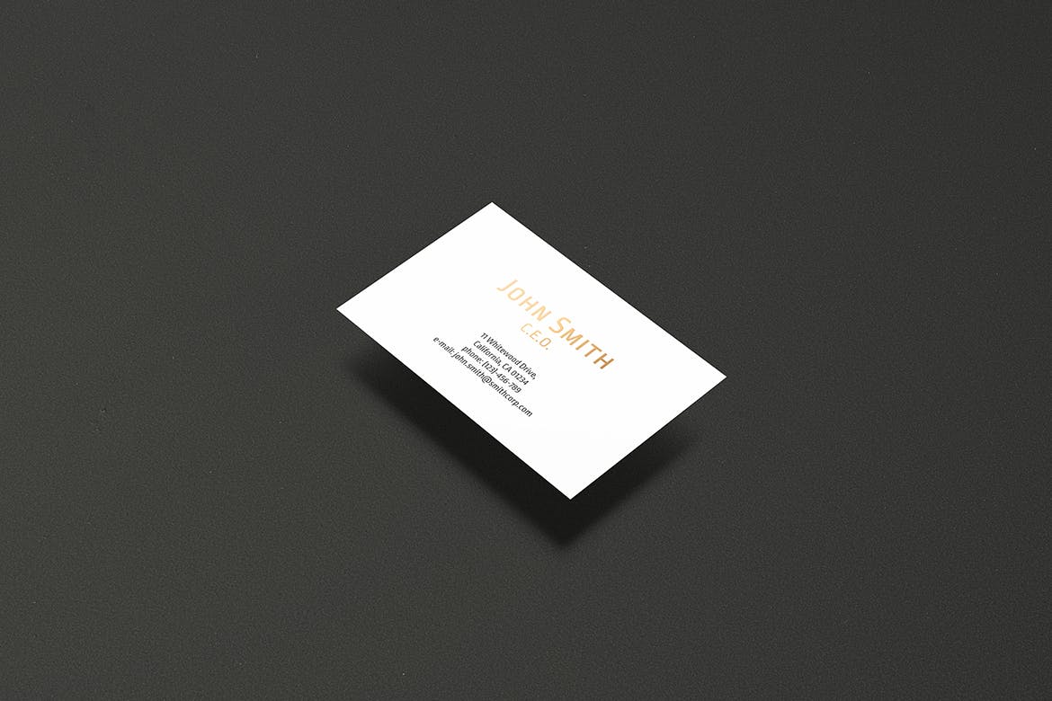 高端企业名片设计效果图第一素材精选套装 8.5×5.5cm Landscape Business Card Mockup插图(10)