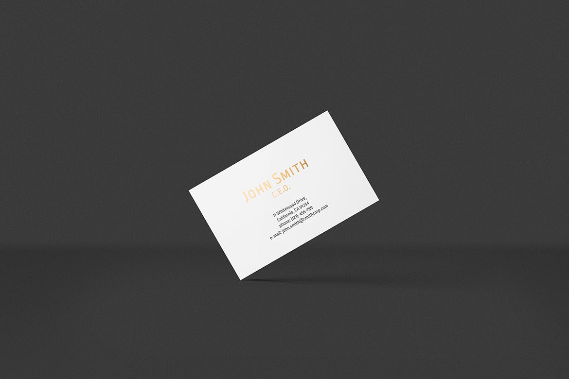 高端企业名片设计效果图蚂蚁素材精选套装 8.5×5.5cm Landscape Business Card Mockup插图(8)